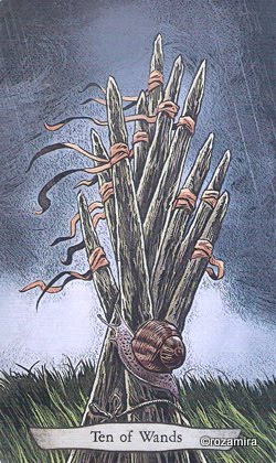 Animal Totem Tarot